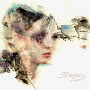 午夜激情视频网站
