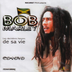 午夜激情视频网站
