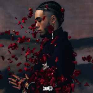 午夜激情视频网站
